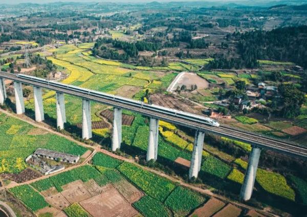 西成高铁开售计次票和定期票!