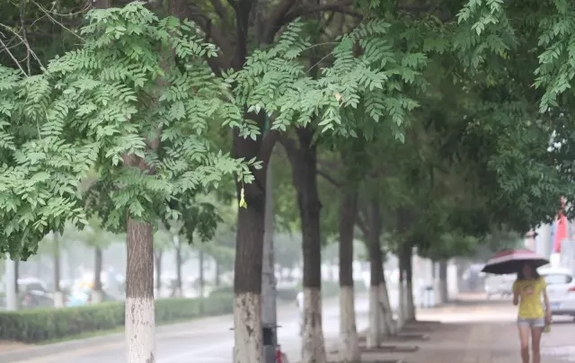 美呆了！河北“最美自然风光”出炉，有你的家乡吗？