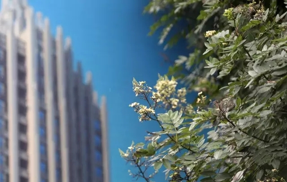 美呆了！河北“最美自然风光”出炉，有你的家乡吗？