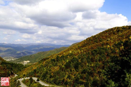 黄柏塬 图/石头旦旦