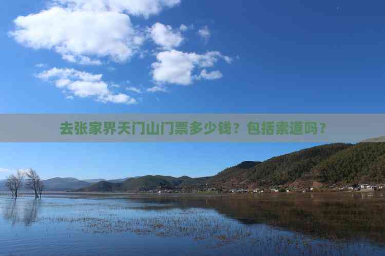 去张家界天门山门票多少钱？包括索道吗？