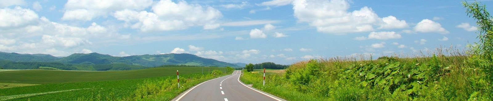 青峰峡森林公园旅游