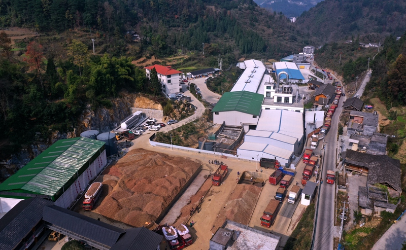 贵州佳里佳农业发展有限公司。