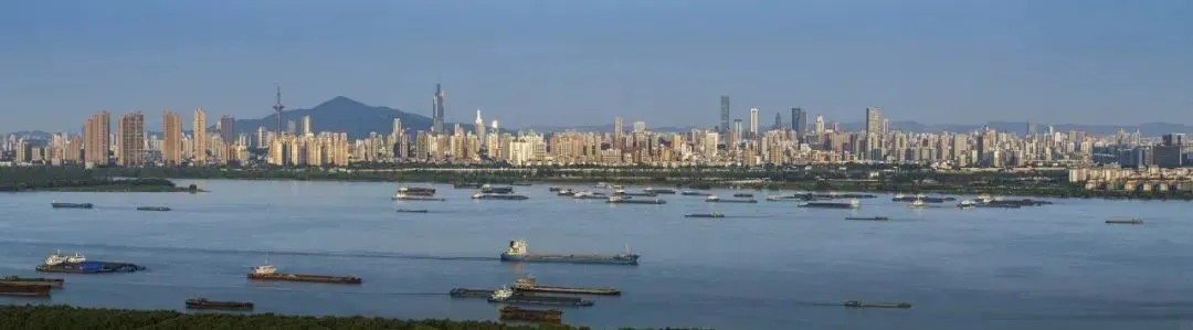 南京长江岸线。南京日报/紫金山新闻记者 丁劼 摄