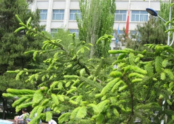 美呆了！河北“最美自然风光”出炉，有你的家乡吗？