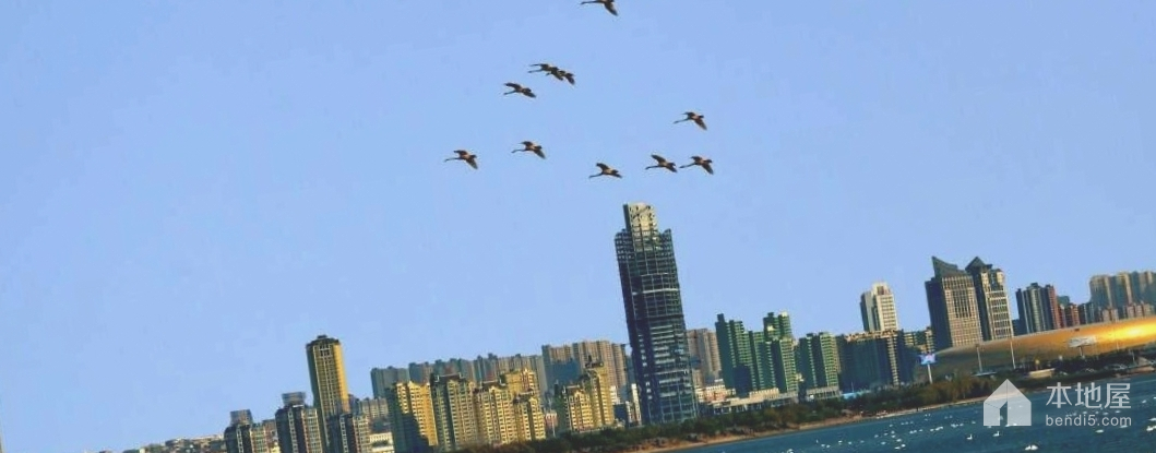 三门峡市有哪些区县和县级市