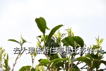 去大理旅游住哪里比较好