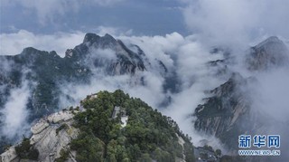 （美丽中国）（1）不识华山真面目 只缘云雾漫山中