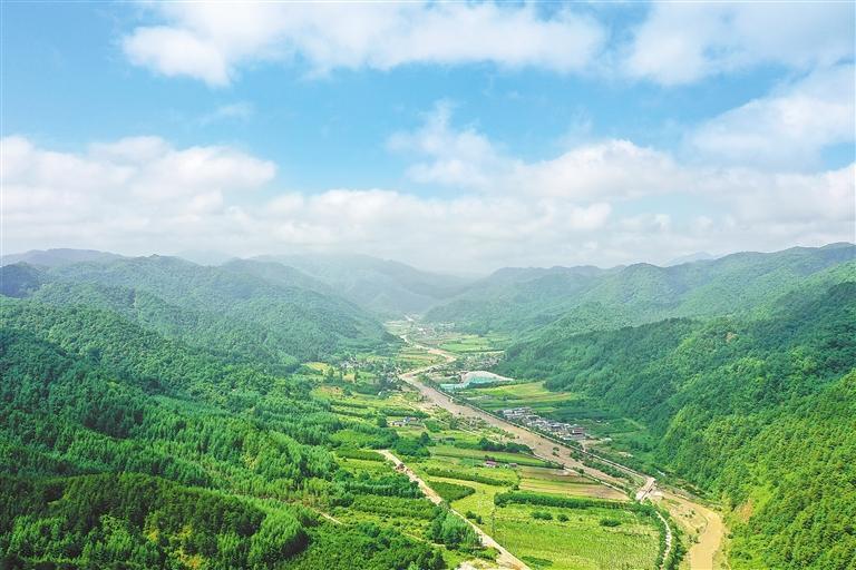 小陇山林业保护中心李子园林场。新甘肃·甘肃日报记者 冯乐凯