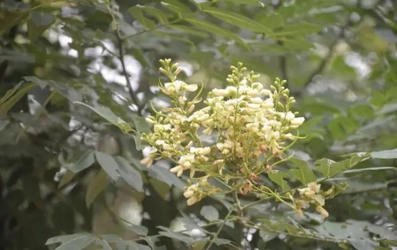 美呆了！河北“最美自然风光”出炉，有你的家乡吗？