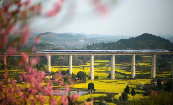 西成高铁开售计次票和定期票!