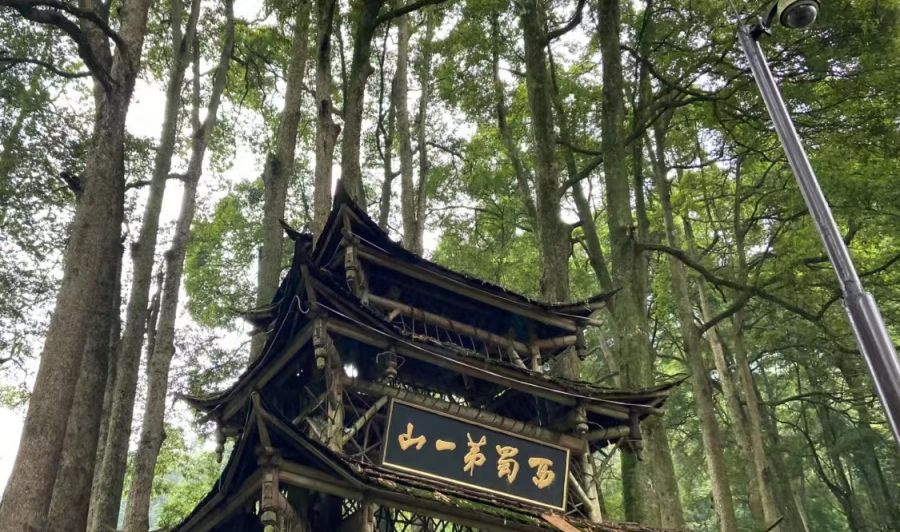 青城山都江堰一日游攻略(门票 路线 游览时间)