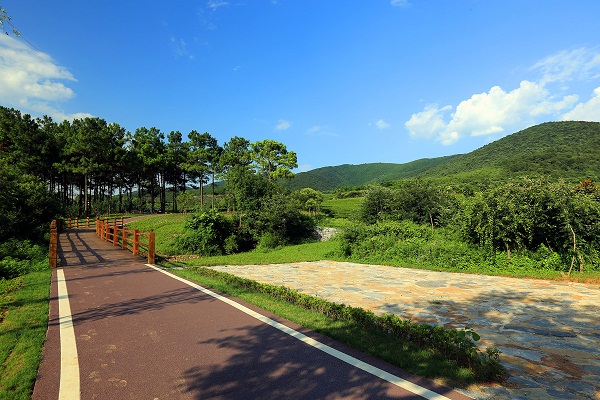 绿道风光如画。