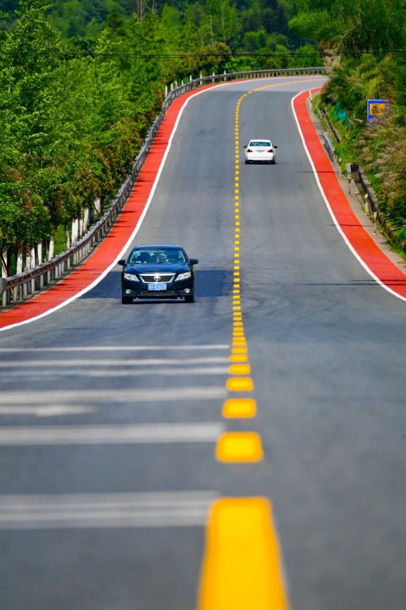 活力清新的五彩公路。单位供图