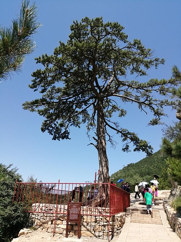 "恒山是五岳中的北岳是道教圣地,不愿爬山的也可坐索道,其实索道根本没有必要。山顶的景色还是要欣赏的_恒山"的评论图片