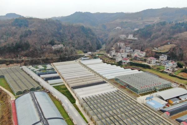 新春走基层｜陕西：高铁筑就“奔富”新通途