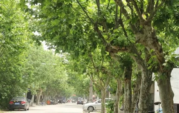 美呆了！河北“最美自然风光”出炉，有你的家乡吗？