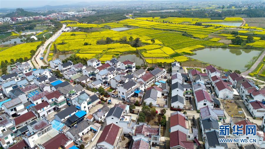 （新华全媒头条·图文互动）（3）见证人间正道——写在南京解放70周年之际