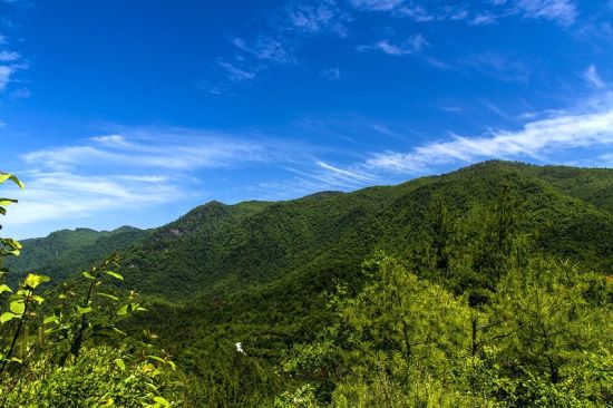 秦岭平河梁 图/“chengpengfmmu”