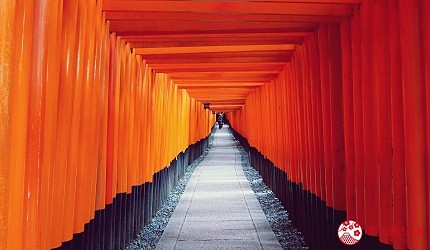 京都景点推荐千本鸟居照片