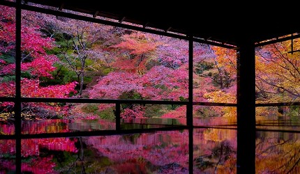 京都景点推荐瑠璃光院照片