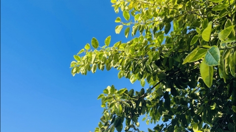 7月19日北京上海天气 北京天气炎热上海晴热高温